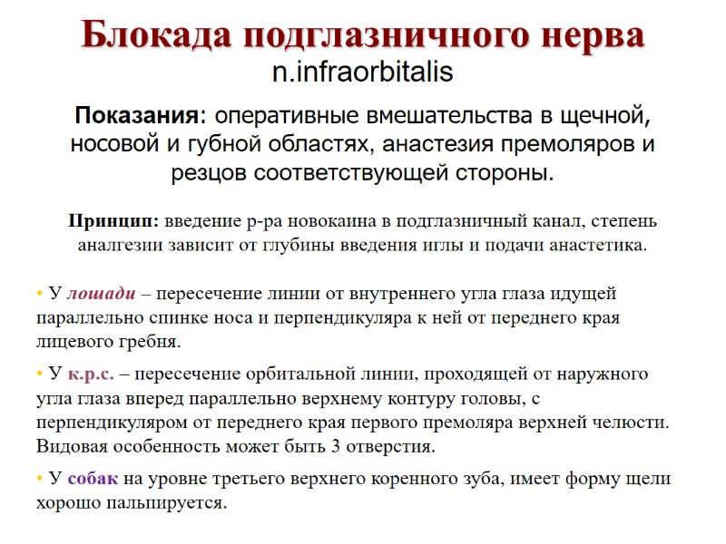 Блокада подглазничного нерва n.infraorbitalis Показания: оперативные вмешательства в щечной, носовой и губной областях, анастезия Блокада подглазничного нерва n.infraorbitalis Показания: оперативные вмешательства в щечной, носовой и губной областях, анастезия